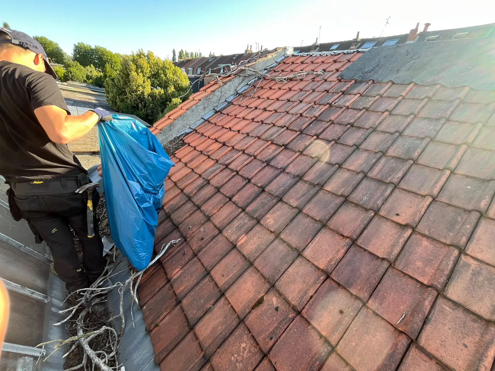 Dépose de l'ancienne couverture sur la toiture en sheds